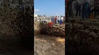 Log jump event #shorts #sports #short #viral #shortvideo #longjump #skills #athlete #ground