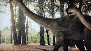 dinosaurs in the outback Wintonotitan