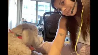 ASMR Soft spoken clicking on computer and chatting