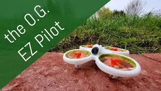 Flying the EMAX Ez Pilot RTF FPV Outdoors - Is It Worth Buying in 2022?