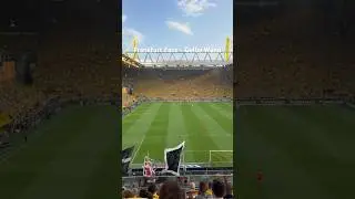 #football #fans #eintrachtfrankfurt #sge #bvb #borussiadortmund #bundesliga #fy #fyp #viral #sports