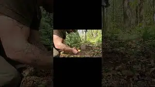 #shorts Feuer in Bushbox XL #fire #bushbox #ausr&uuml;stung #abenteuer #outdoor #bushcraft #survival