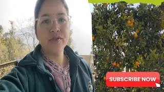 Mayke me first vlog #bnthevlogger#theshankyvlogss