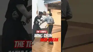 WING CHUN The Temple Toulouse ARM BREAK ELBOW STRIKE
