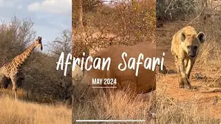 African Safari May 2024 @ Klaserie Drift Safari Camp #africansafari #krugernationalpark #southafrica