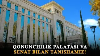 Qonun uylari &ndash; Qonunchilik palatasi va Senat bilan tanishamiz!