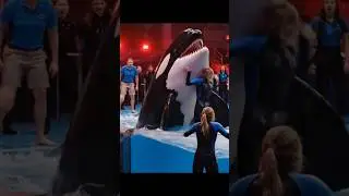 Jessica & Orca | Emotional Cinematic Rescue Scene | 4K AI Video&rdquo;