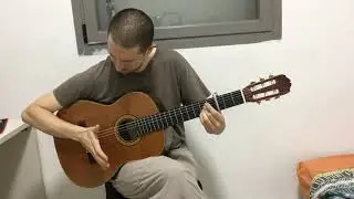 Fiona Apple - Oh Well (Solo Guitar Cover)