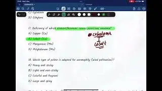 Bsc Nurshing  2025 solutions answer key of Botany #cee 