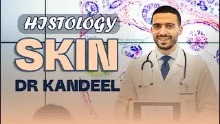 شرح  skin طب بشري | دكتور قنديل