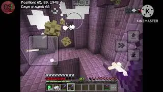 Raiding an END City and Gosh Darn it Screen in Minecraft Hardcore #13