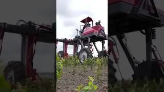OC Group straddle tractor