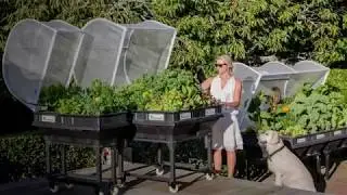 Vegepod Raised Garden Bed Kits