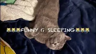 🙀🙀Funny cat sleeping pose🙀🙀🙀😻😻