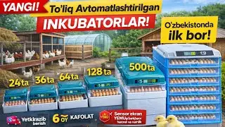 Uzoq kutilgan 2026 INKUBATORLARIMIZ  yetib keldi 24 36 64 128 200 va 500 talik to'liq avtomatlashgan
