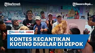 Pecinta Kucing Wajib Merapat, Happy Cats Show 2025 Digelar di Pesona Square Depok