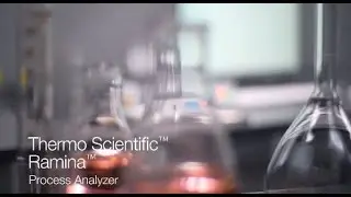 Ramina Process Analyzer (Thermo Scientific)