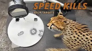Speed Kills! (your targets)-Velocity Testing Steel Target with .22-250