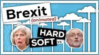 General Election: Brexit - Hard vs Soft