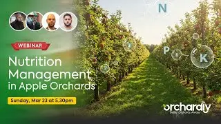 Nutrition Management in Apple Orchards