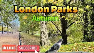 London Park Autumn 🇬🇧||4k HDR [Green Park & St.James Park ]Royal Parks #beautiful #Parks