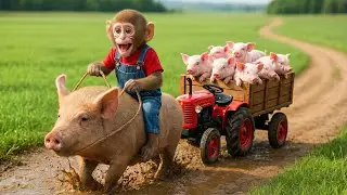 Monkey CP&rsquo;s Pig Farm Explodes Into Chaos | But His Smart Fix Saves Everything! 😱💥