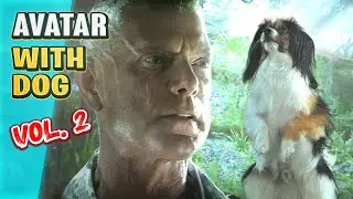Avatar - Colonel Quaritch's true enemy (parody starring my DOG)