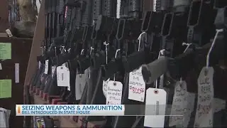 Probable cause gun seizures
