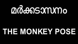 Markkadasanam 