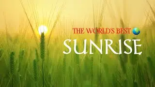 Beautiful Sunrise Time-lapse around the World