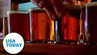 Craft beer: Four frothy facts for brew snobs and hop lovers | USA TODAY