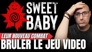 SWEET BABY INC (WOKE), PROPOS EXTREMISTES: ils veulent mettre le feu aux jeux vid&eacute;o !!!