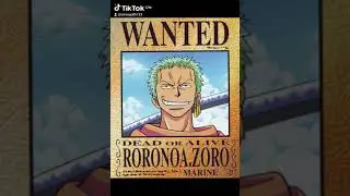 toda recompensa on Norah Zoro do bando do chap&eacute;u de palha