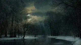 4K Blizzard in Winter Forest &ndash; Free Stock Footage | No Copyright Snow Video