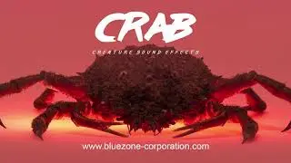Crab - Creature Sound Effects - Monster Attack Sounds - Creature Walking and Crunchy Eating Sounds
