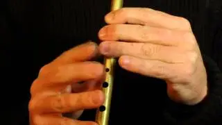 Fermoy Lasses (Reel) - Part 2 of 2 - Tin Whistle Tutorial