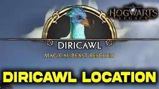 Diricawl Location | Acquire a Diricawl with a Nab-Sack | Hogwarts Legacy | Howin's Assignment
