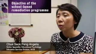 School-based Dyslexia Remediation Programme