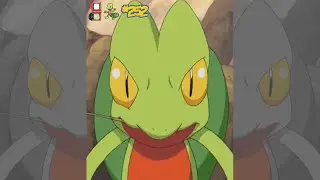 Basically Treecko [POKEDEX 252, Gen 3] Facts/Trivia #pokemon #youtube