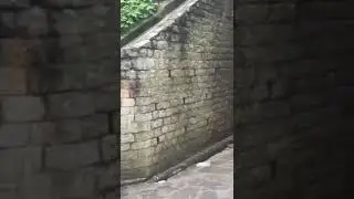 Pipeline | Track | Ayubia | Tunnel |#pakistan #pipeline #track #ayubia #tunnel #murree #shorts