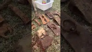 #axe heads for #restoration found #metaldetecting withe Butters the #pug #shorts