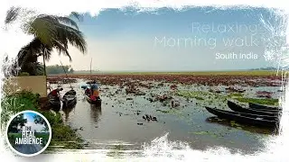 Relaxing morning walk | south Indian village life | virtual walk #relaxingvideo  #walkingtour
