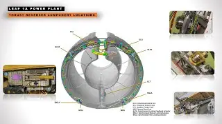 A320 Neo CFM LEAP 1A Engine Thrust Reverser Component Locations | A320 Neo Reverse Thrust  Lesson 02