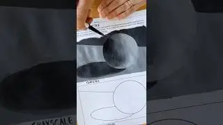 Painting Exercise for Beginners 🎨#arteducation #arcylicpainting #acrylicpaintingtutorial #arttips