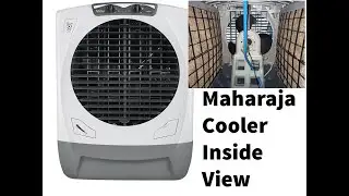 Maharaja Whitline 65L 70 L Inside View Full Details