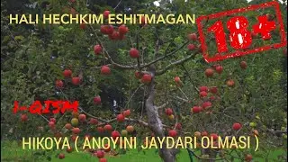 ERKIN AZAM ANOYINI JAYDARI OLMASI (1-QISM)