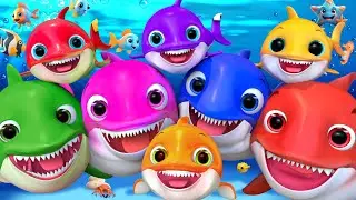 Nuota Nuota Baby Squalo | Canzoni per bambini | Filastrocche e canzoni per bambini | Super Luca