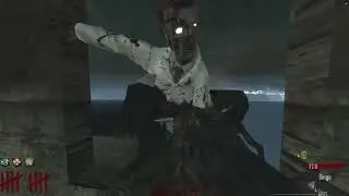 Call Of Duty World At War Custom Zombies 