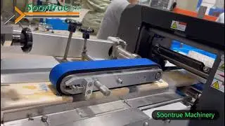 SZ180R pillow type facial tissue packing machine --- Soontrue Machinery