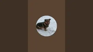 viata la tara este live!
